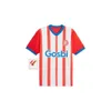 23 24 Sporting de Gijon Soccer Jerseys Aitor G. D.Perez Camiseta de Futbol Hombre 2023 2024 Footbale Shird djurdjevic djuka manu garcia aitor G. Js babin home away men kids