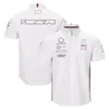 F1-T-Shirts, Team-Shirts, Formel-1-Fahrer, Team-Overalls, Sommer, neue Rennsport-Fans, Outdoor-Freizeit, Polo-Shirts, Team-Logo-Shirts, Ove308I