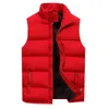 Gilets pour hommes Hommes Automne et hiver Mode Couleur unie Down Coton Zipper Vest à la mode Casual Confortable Léger Chaleco Hombre