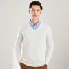 Men's Sweaters Autumn And Winter Merino Wool Knitted V-neck Sweater Basic Cashmere Quality Top Loose Versatile Long Sleeve Pullover