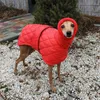Hundebekleidung Winterkleidung für große Hunde, wasserdichte Jacke für große Hunde, Weste mit hohem Kragen, warme Hundemantelkleidung für Französische Bulldogge, Windhund, 230919