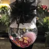 Party Decoration 3PCS Wide Neck Transparent Bobo Bubble Ball Valentine's Day Flowers Candy Clear Balloons For Wedding Birthday Gift Packing Decor 230920