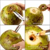 Fruit Vegetable Tools LMETJMA Coconut Opener Stainless Steel Scraper Knife Punch JT101 230919