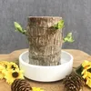 Juldekorationer Brasilien Wood Hydroponic Potted Plant inomhus Lucky Office Desktop Green Home Decor Fairy Garden 230919