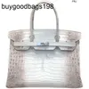 Sac de créateur Himalayans Sacs à main Véritable Cuir Crocodile Platine Argent Boucle Lady 25 28 30 Spécification Portable Messenge