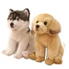 Plush Dolls Symulacja maltańska pluszowa zabawka pluszowe zwierzęta Wysokiej jakości realistyczne francuskie buldog niemiecki owczarka niemiecka puna Puppy Doll Toys 230920