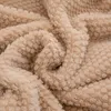 담요 Simple 7d Rose Fleece 가을을위한 따뜻한 담요 가을 겨울 두껍게 모방의 양모 침대 따뜻한 무게 230920