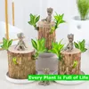 Decorações de Natal Brasil Madeira Hidropônica Vaso Planta Interior Sorte Escritório Desktop Verde Decoração de Casa Fada Jardim 230919