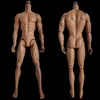 Muñecas Original Adonis cuerpo masculino Ken Yoga cuerpos musculares versión MENGF articulaciones de café cuerpo móvil para 1/6 FR/IT 230920