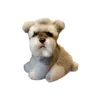 Pluche poppen Kawaii Schnauzer Hond Knuffel Klein Zacht Simulatie Kinderen Knuffelspeelgoed voor kinderen Schattig Po Rekwisieten Meisjes Verjaardagscadeau 230920