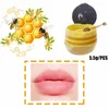 Outros itens de beleza para saúde Natural Lip Balm Honey Pot Stberry Própolis Hidratante Hidratante Prevenção Esfoliante Seco e Rachado Exf Dh4Dn