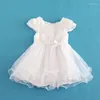 Girl Dresses Flowers White Baby Dress Summer Short Sleeve Organza Christening Party Kids