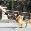 Benepaw Durable Bite Tug Dog Toys Interactive 2 Handle Strong Pull Medium Large Pet Rope Toys Training German Shepherd Y200330191B