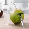 Fruit Vegetable Tools LMETJMA Coconut Opener Stainless Steel Scraper Knife Punch JT101 230919