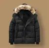 Kanada Puffer Ceketler Erkekler Tasarımcı Gerçek Coyote Kürk Açık Wyndham Windbreaker Jassen Dış Giyim Kapşonlu Ceket Pinkwing-27 CXG9206