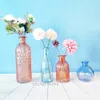 Vase Glass Vase Living Room装飾家のための小さな新鮮な花の花瓶
