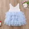 Girl Dresses Wedding Skirt Embroidered Sleeveless A Swing Knee Length Dress For 1 To 6 Years Skater 2