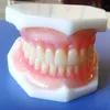 Other Oral Hygiene False Teeth Whitening Dentures Temporary Fake Tooth Upper Lower Removable Dental Veneers Dentadura Postiza Completa 230919