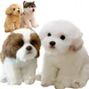 Bambole di peluche Simulazione Cane maltese Peluche Animali di peluche Realistico di alta qualità Bulldog francese Pastore tedesco Carlino Cucciolo di animale domestico Giocattoli 230920