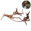 4pcs Aquarium Decorations Natural Branch Driftwood for Fish Tank Decoration Ornaments Y200922266L