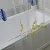 シャワーカーテン透明なシャワーカーテンシンプルな防水性ペヴァバスカーテンカビの入浴カバー12pcsプラスチックフック230919で高品質