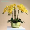 Decorazioni natalizie Falena bianca Orchidea Disposizione di fiori fai da te 5 pezzi Orchidea 4 pezzi Muschio 3 pezzi Vaso con foglie Centrotavola decorazione farfalla INDIGO 230919