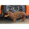 冬のペットコートデザイナー犬の服かわいい子犬のセーターレターFラグジュアリードッグス衣類ペットアペラルウォームセーターのための大きな犬の衣装ユニセックス