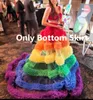 Rainbow Prom Custom Color Evening Dresses Arabic Short Skirt Only Tail Vintage A Line Formal Party Gowns 328 328