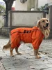 Vêtements pour chiens ATUBAN Veste imperméable légère sécurité réfléchissante imperméable coupe-vent gilet anti-neige pour petit moyen grand 230919