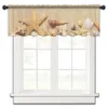 Curtain Shell Starfish Beach Tulle Kitchen Small Window Valance Sheer Short Bedroom Living Room Home Decor Voile Drapes