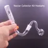 4 In1 Kit Narguilés 14mm Verre Brûleur À Huile Bong Dab Paille Huile Rigs Micro NC Ensemble Verre Fumer Pipe À Eau avec 30mm Boule De Verre Tuyau De Brûleur À L'huile 2pcs