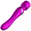 Jouets pour adultes Double vibrateur intelligent Av baguette magique masseur gode vibrateur G Spot stimulateur de clitoris masturbation féminine produit sexuel 230920