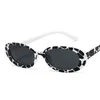 Sunglasses Small Frame Vintage Oval Fashion Cow Printed Sun Glasses Summer UV400 Streetwear Eyewear Y2k Accessories