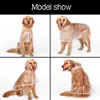 犬のアパレルフーポレインコートビッグミディアムサイズの犬ペット防水服ジャケット服子犬カジュアル230919