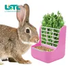 Küçük hayvan malzemeleri 2 in 1 tavşan gıda saman besleyici kobay kapalı tavşan chinchilla hayvanlar kaseler 230920