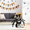 Cat Costumes Halloween Spider Clothes for Pet Dog Cat Spider Costumes Dressing Pet Clothes Party Pet Halloween Props Accessories HKD230921