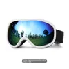 Spherical Ski Goggles, 2023 Ski Goggles, New Ski Goggles, Double-Layer Fog-Proof, Men's And Women's Outdoor Glasses PF 7380