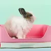 Small Animal Supplies Große Kaninchen-Eck-Toilettenhaus-Haustiertoilette mit Schublade Easy 230920