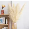 Decorative Flowers Cream Big Pampas Really Dried Flores Naturn Secas For Fashion Home Decoration Wedding Decor Shopping Free