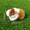 Plush Dolls 18cm Simulation Guinea Pig Animal Plush Stuffed Doll Hamster Doll Plush Toy Soft Stuffed Animal for Children Birthday Gift 230921