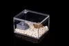 Fournitures de reptiles Boîte d'élevage en acrylique transparent Araignée Lézard Amphibien Terrarium Étanche Habitat pour animaux de compagnie Tarantule arboricole Enclre 230920