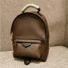 Novas mulheres mensageiro saco clássico moda luxurys designers mulheres sacos de ombro senhora viagem totes bolsa crossbody