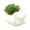 爬虫類の供給マーク43 "H犬のホワイトセラミックプランターモダンでシンプルなスタイリッシュなデザイン人工植物230920