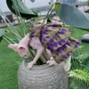 Costumi per gatti Sphynx Cat Cake Dress Gonna in cotone di pizzo per vestiti per gatti senza peli Morbido vestito viola dolce per cappotto per gattini Devon Rex in primavera HKD230921