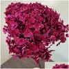 Flores decorativas grinaldas 1bunch/40x20cm/30 coloridas Anna Hydrangea Branch inteiro preservado Bouquet de flores secas e deskto home Deskto dh0ij