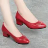 Genuine Leather Original Box Women Designer Dress Shoes High Heels Women's S Lady Shoes Good Business Woman Suits Office Gowns Shoe Large Size Item No ZY-2001