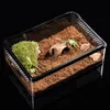 Reptielbenodigdheden Voederbox Transparant Amfibie Insectenkweek Geventileerde broedcontainer Terrariumtank 230920