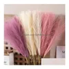 Flores decorativas grinaldas 55cm fofo pampas grama boho decoração flor planta falsa reed simated festa decoração de casa artificial gota de dh0ev