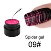 Nagellackfärger spindellinje naglar konstgel polsk boxad uv målning gel nagellack spindel gel lack web klistermärken gel dropship tslm1 230921