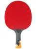 Racchette da ping pong STIGA professionale Carbon 6 STARS racchetta da ping pong per racchette offensive racchetta sportiva Ping Pong Raquete brufoli in 230921